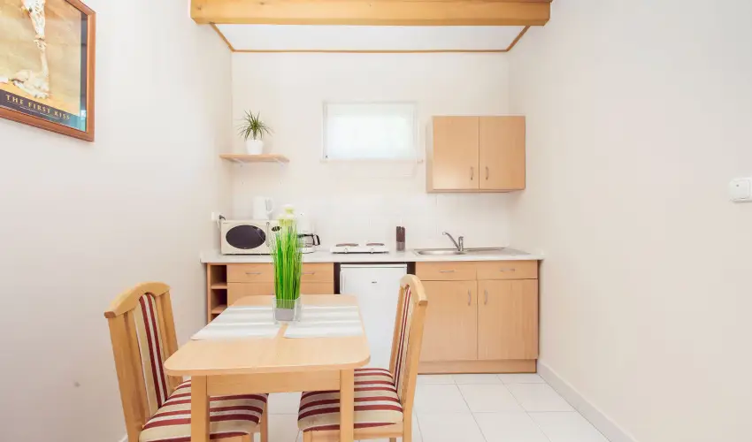 Apartman Szanyi Bk, Bkfrd