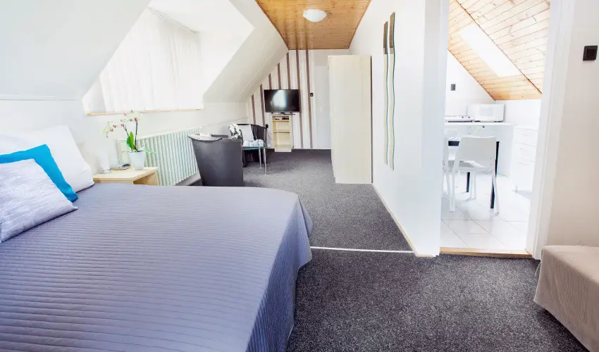 Apartman Szanyi Bk, Bkfrd