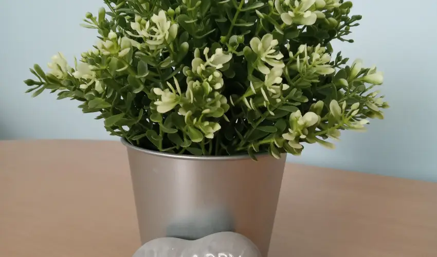 Atlas Apartman B�k, B�kf�rd�