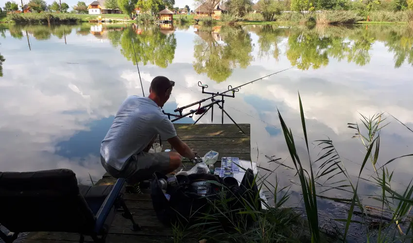 Csodaszarvas T�jpark R�bah�dv�g