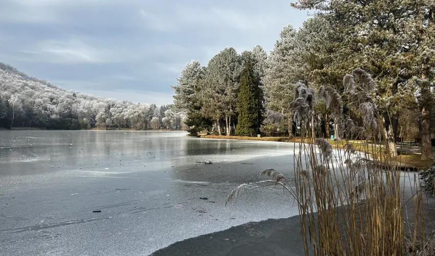 Fortuna Apartman Kőszeg