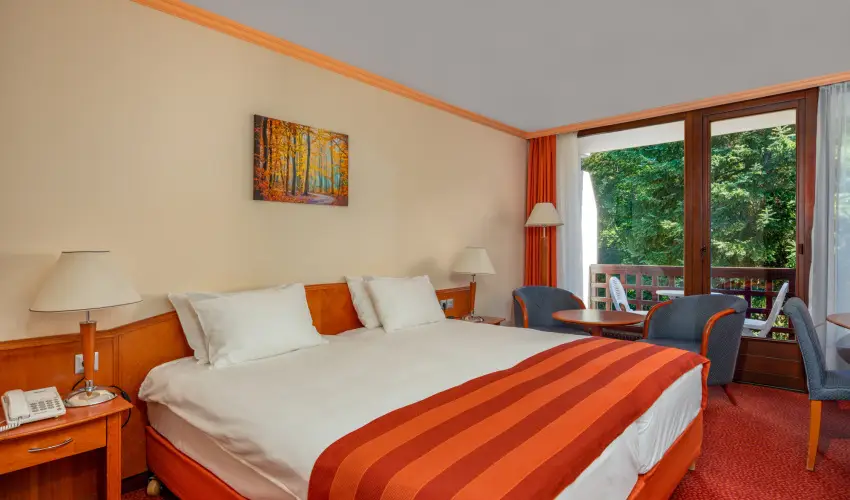 Ensana Thermal Srvr Srvr