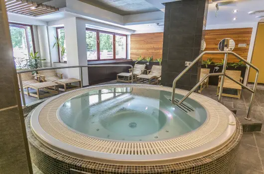 Hotel Bassiana, Srvr, Bk, Bkfrd - 20 km