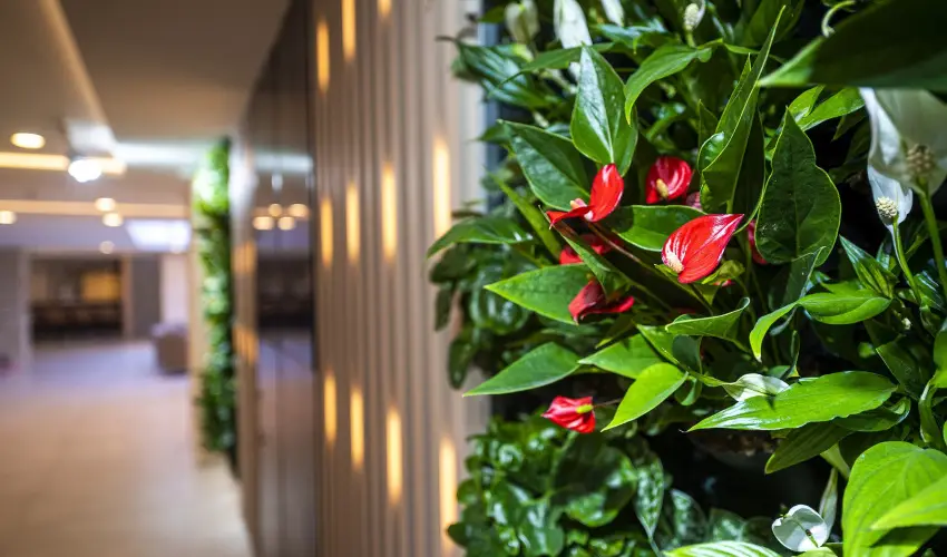 Greenfield Hotel Golf & Spa Bk, Bkfrd