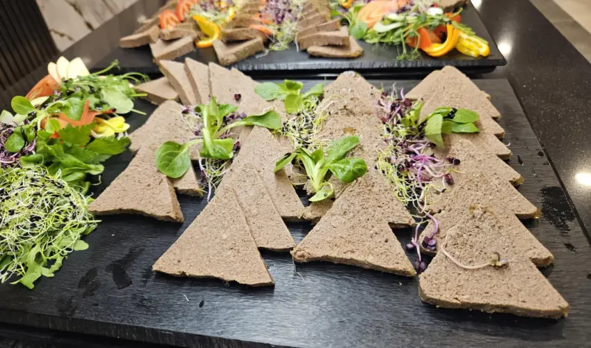 Hotel Szieszta Sopron