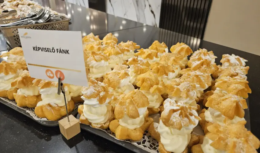 Hotel Szieszta Sopron