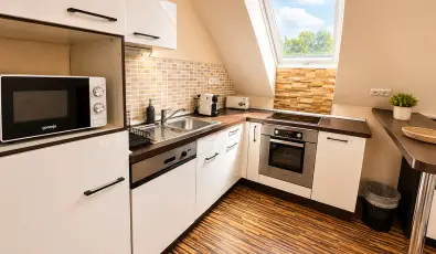 Hotel Vikt�ria S�rv�r