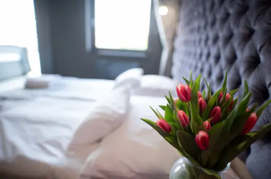 Onyx Luxury Srvr, Srvr, Bk, Bkfrd - 21 km