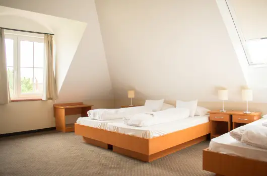 P4W Hotel Residence Szombathely, Szombathely, Bk, Bkfrd - 18 km