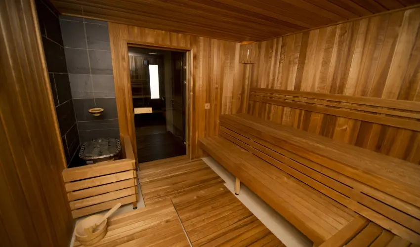 Vadkert Major S�rv�r