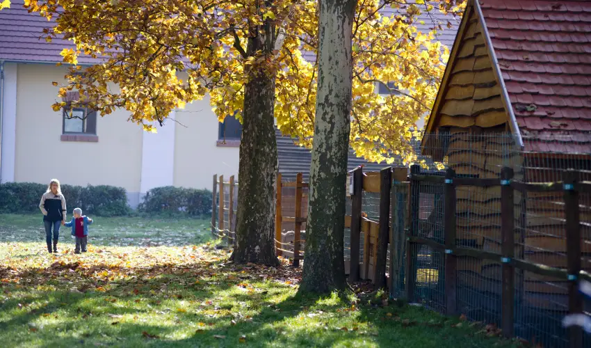 Vadkert Major S�rv�r