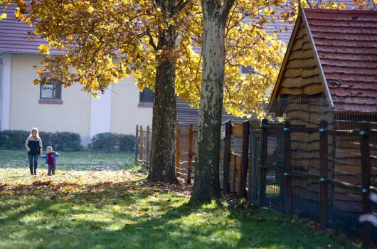 Vadkert Major, S�rv�r, B�k, B�kf�rd� - 21 km