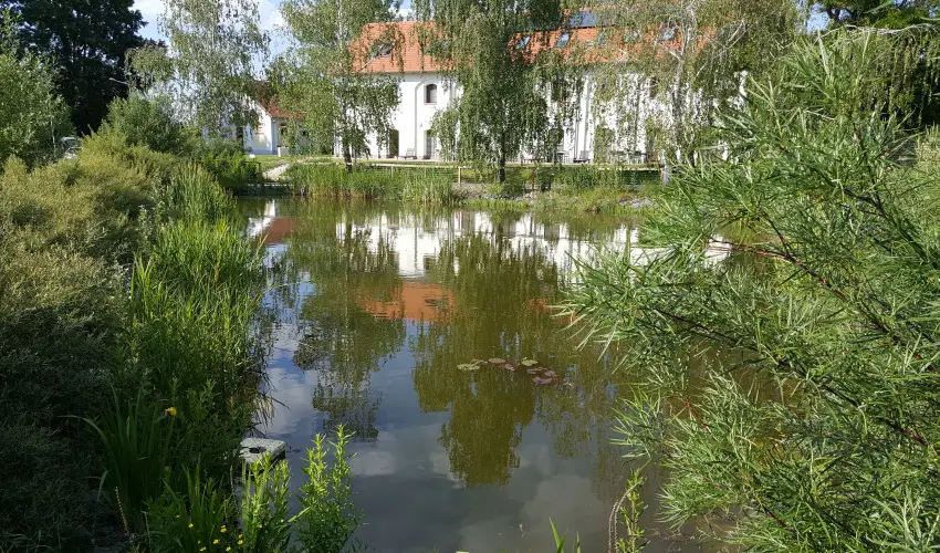 Vadkert Major S�rv�r