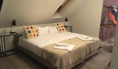 Vadkert Major S�rv�r