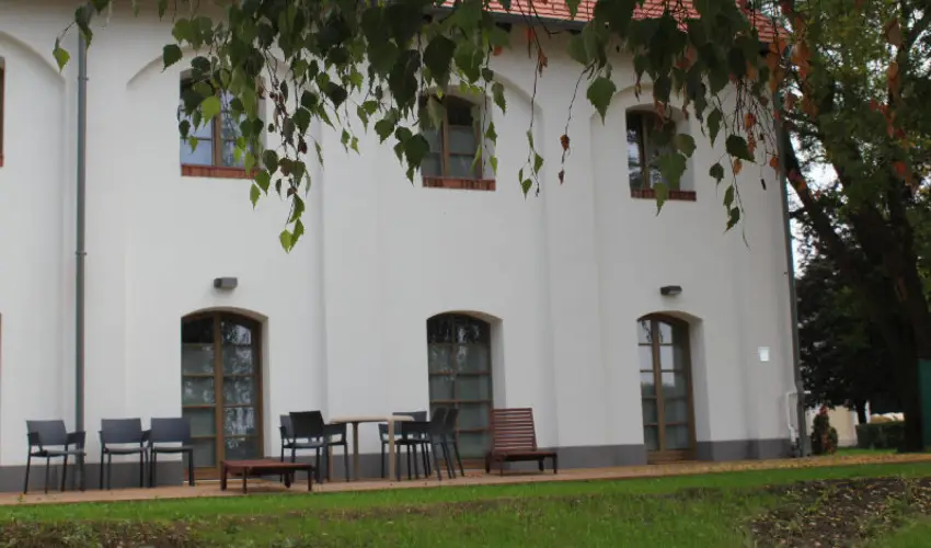 Vadkert Major S�rv�r