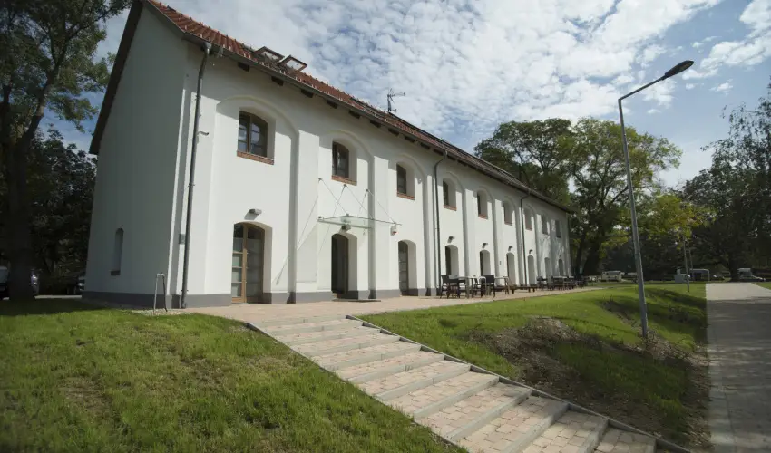 Vadkert Major S�rv�r