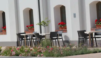 Vadkert Major S�rv�r