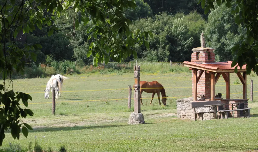 Vadkert Major S�rv�r