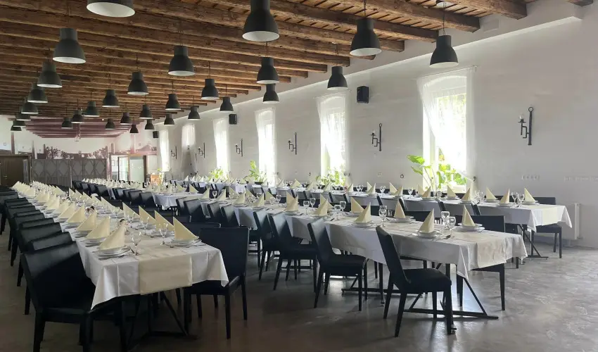 Vadkert Major S�rv�r